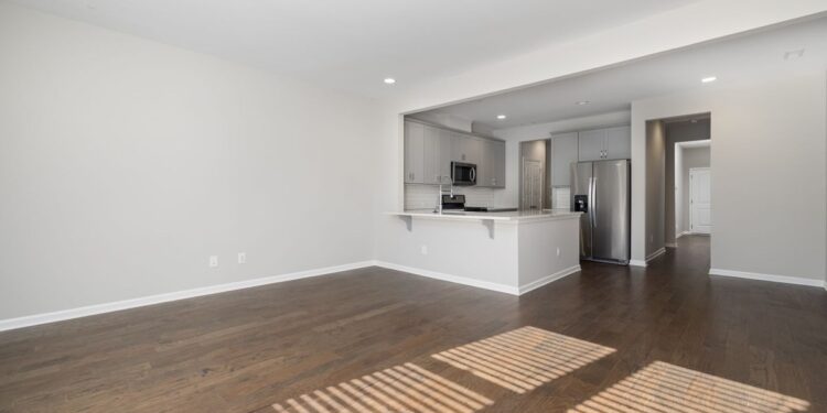 Empty open-plan apartment living area with grey kitchen cabinets and wood flooring